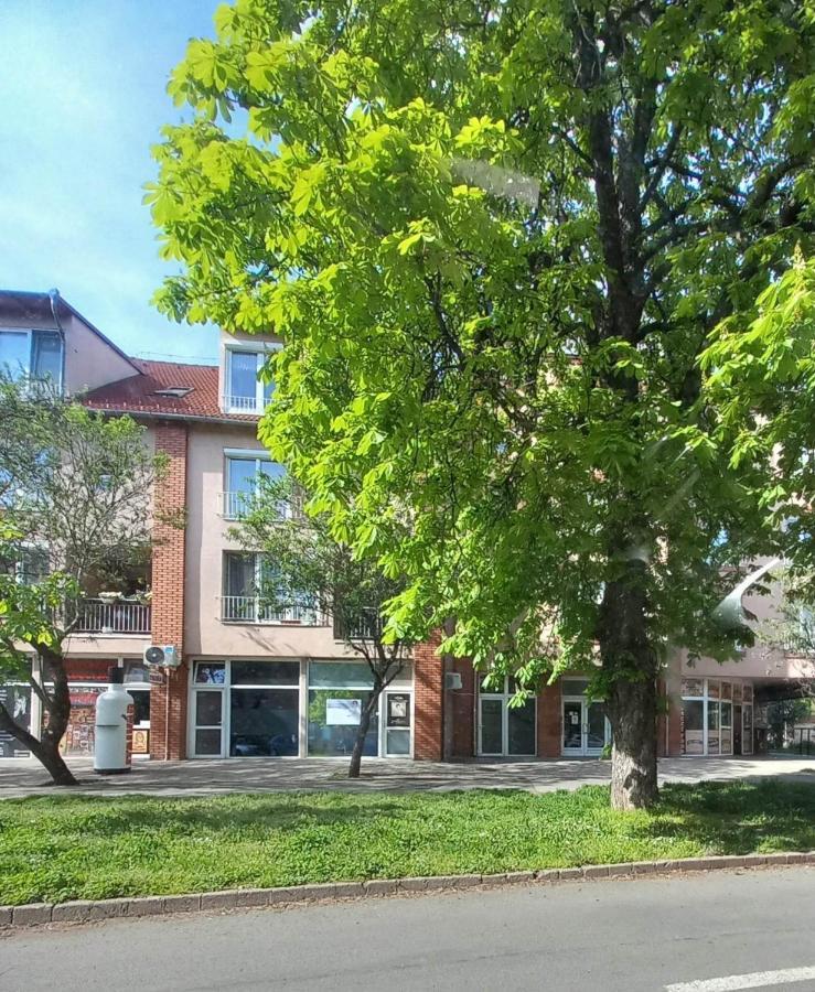 Rozsa Apartman קסזטלי מראה חיצוני תמונה